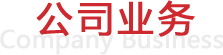 公司业务